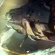 Illustration for article titled Halo 4 Was Shaped, At Least In Part, By One Of The World's Great Concept Artists